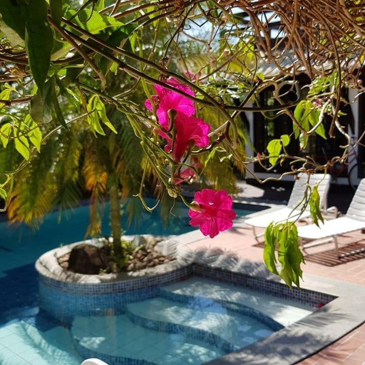 Guesthouse Mata Da Praia Vitória Exterior foto